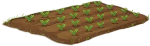 Plot
